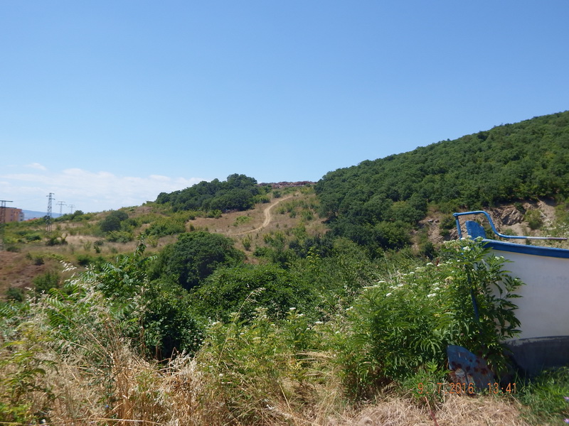 DSCF3261