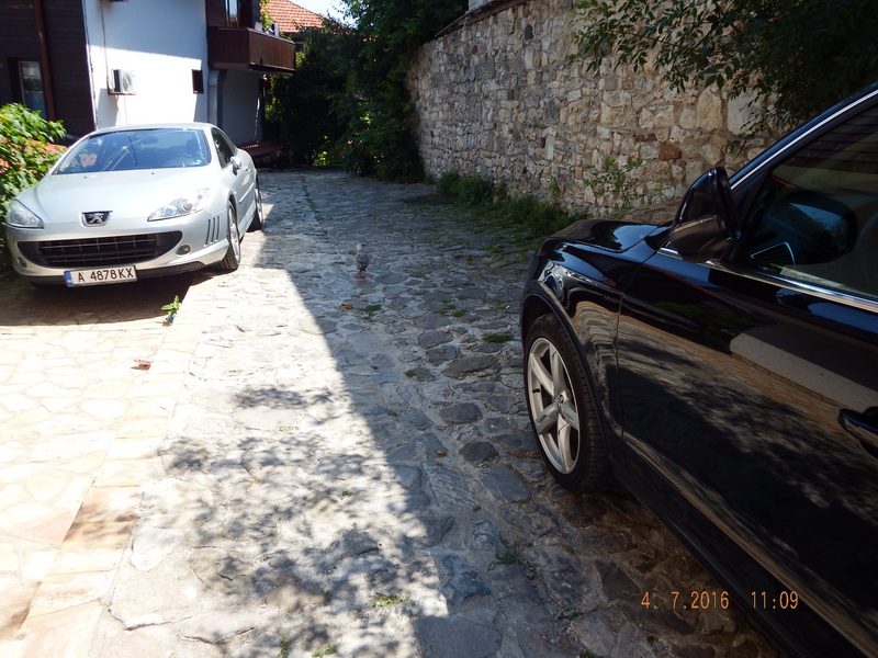 DSCF1204