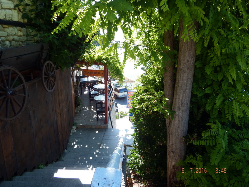 DSCF1754
