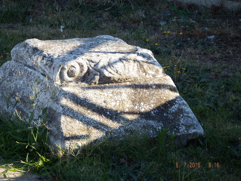 DSCF1695