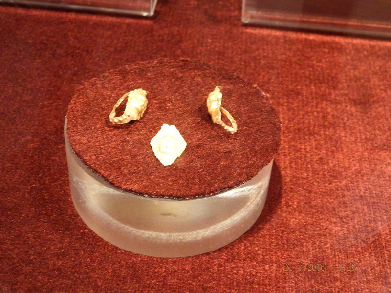 DSCF1915