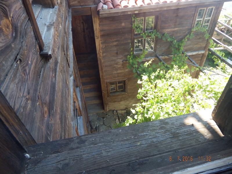 DSCF2129