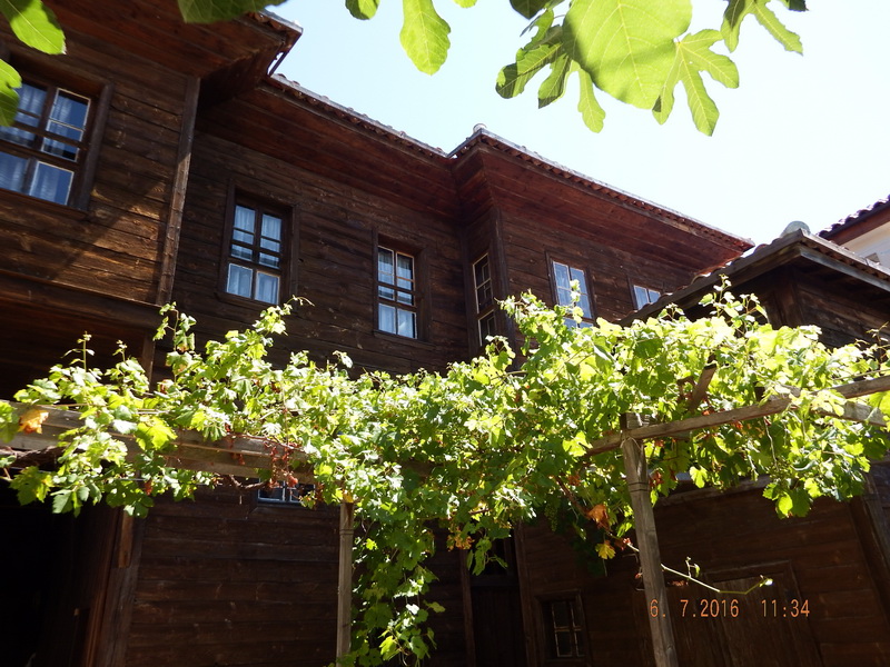 DSCF2135