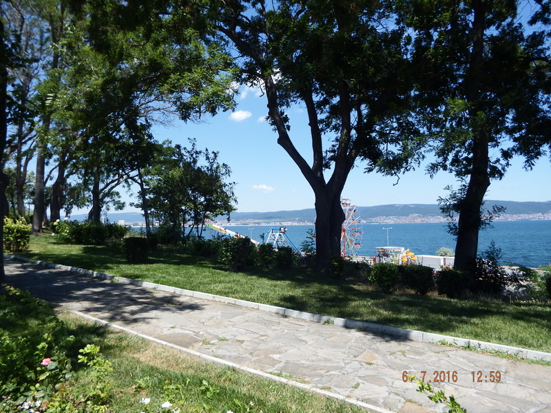 DSCF2260